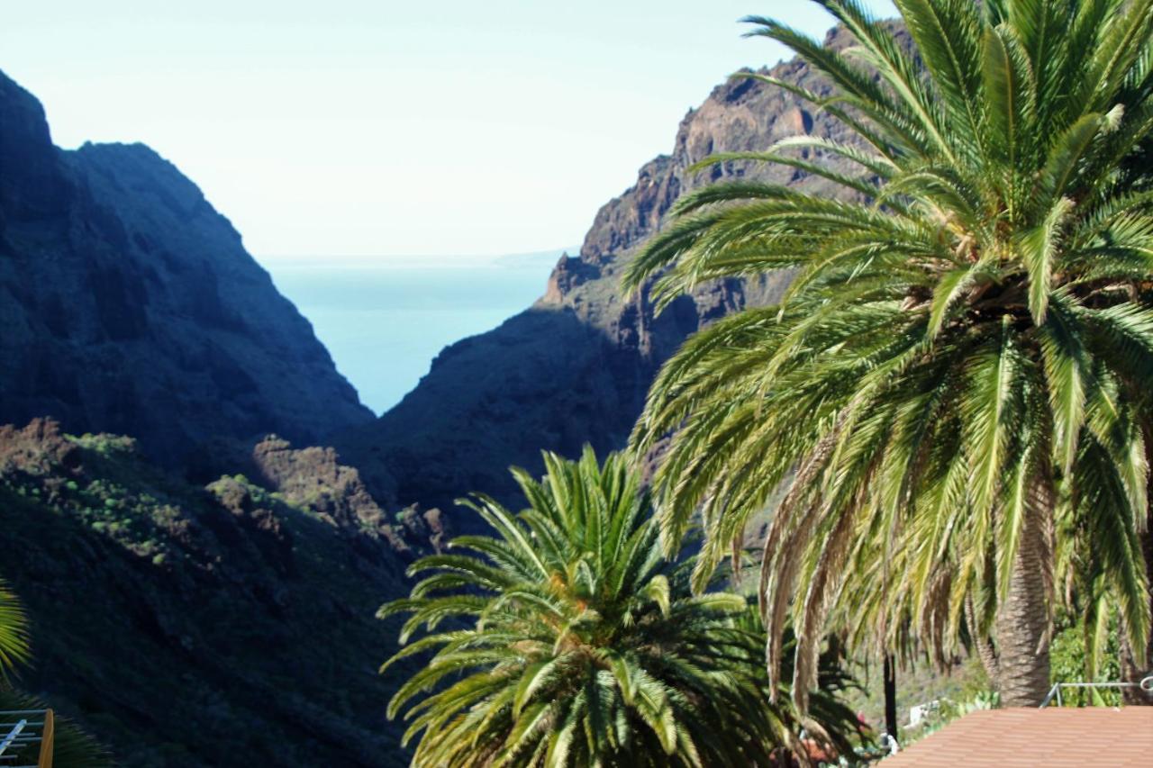 Paula Pool Apartment Adeje Costa Adeje Dış mekan fotoğraf