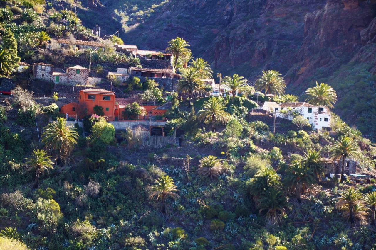 Paula Pool Apartment Adeje Costa Adeje Dış mekan fotoğraf
