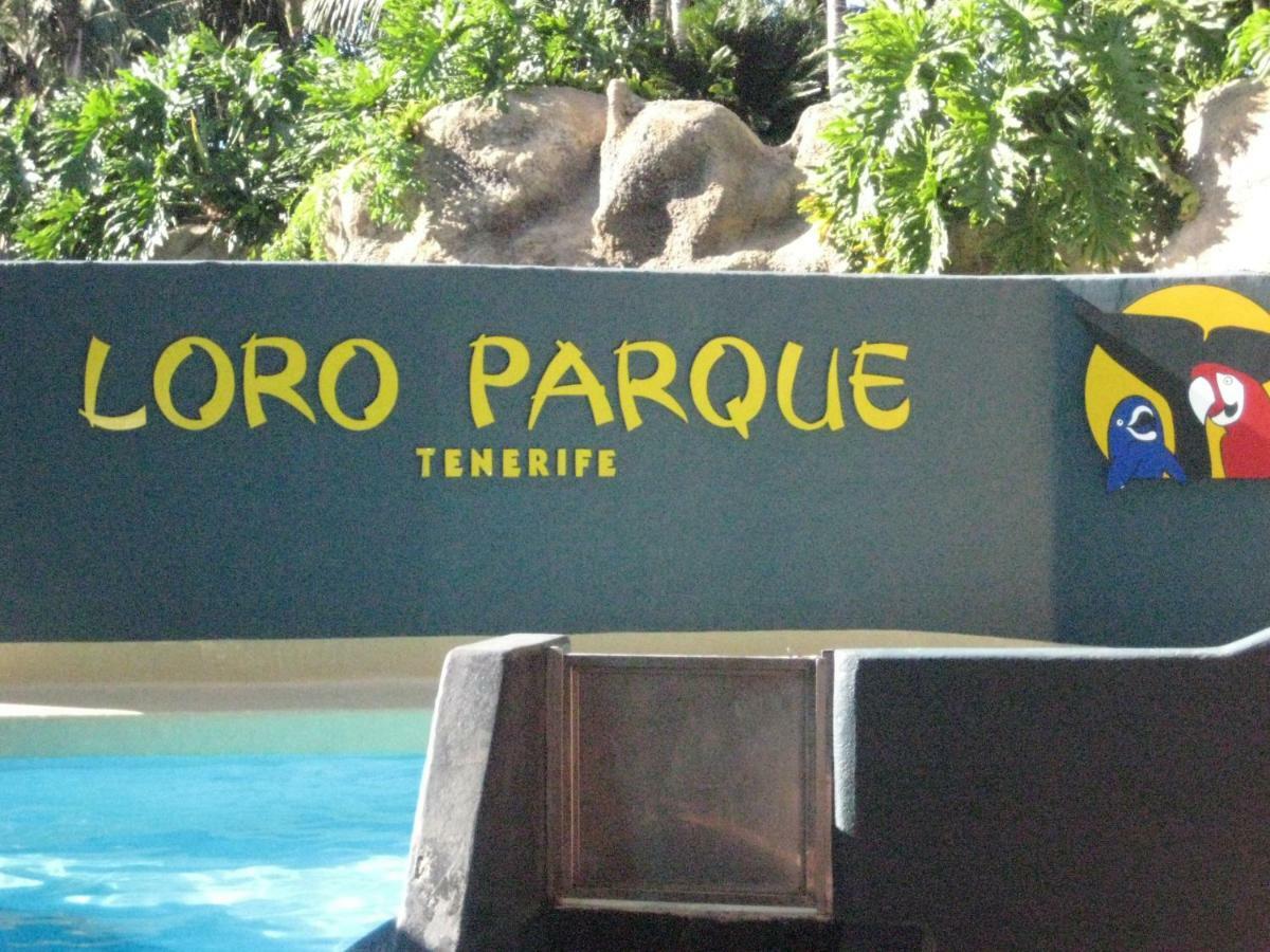 Paula Pool Apartment Adeje Costa Adeje Dış mekan fotoğraf